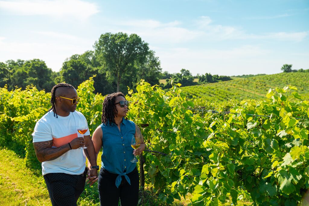 Two people walk hand in hand holding wine glasses through lush green grape vines with the rolling hills in the background.
